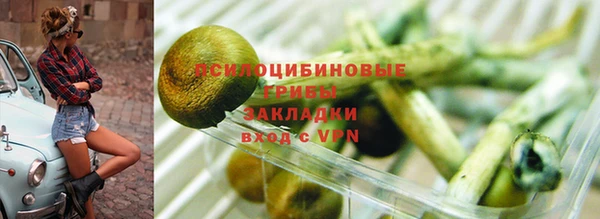 дмт Верея