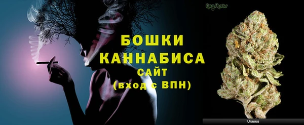дмт Верея