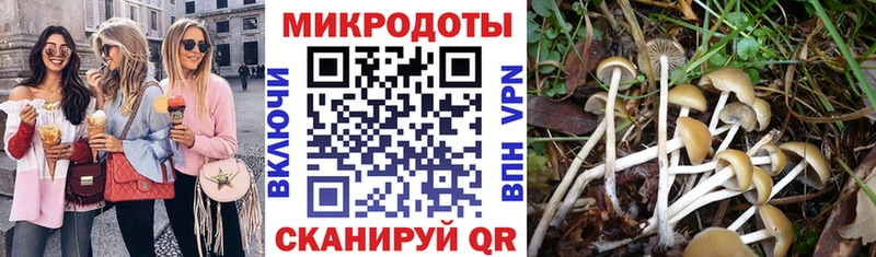 как найти закладки Волгодонск Псилоцибиновые грибы ЛСД